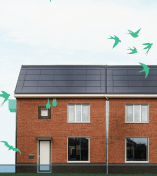 Vleermuis legt project stil